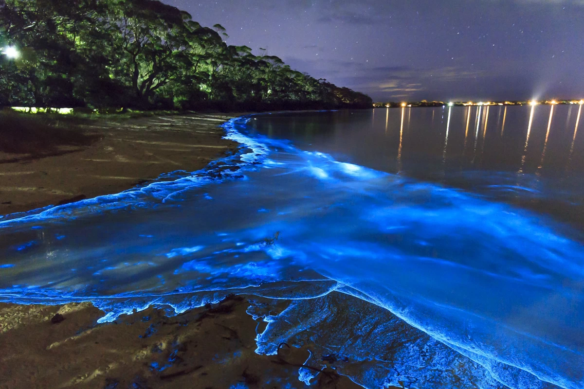 Mystic Luminous Lagoon Tour